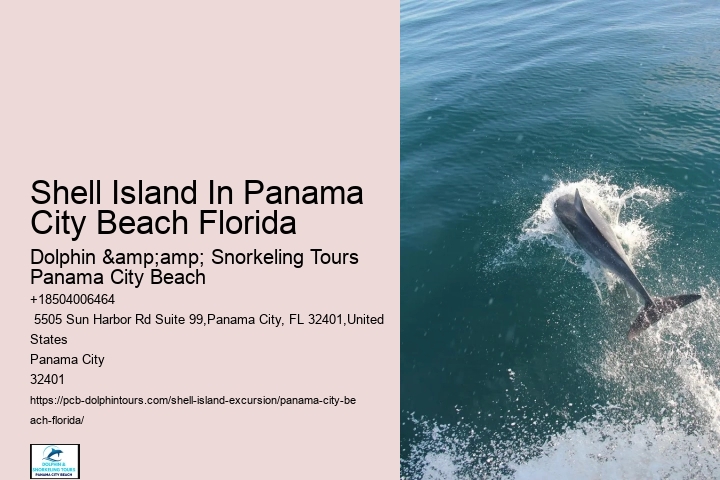  Dolphin Tour