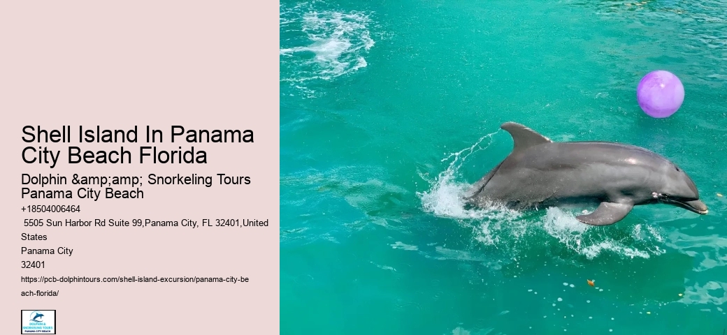Shell Island Excursions Panama City Beach Florida