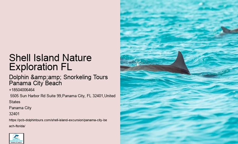  Tour