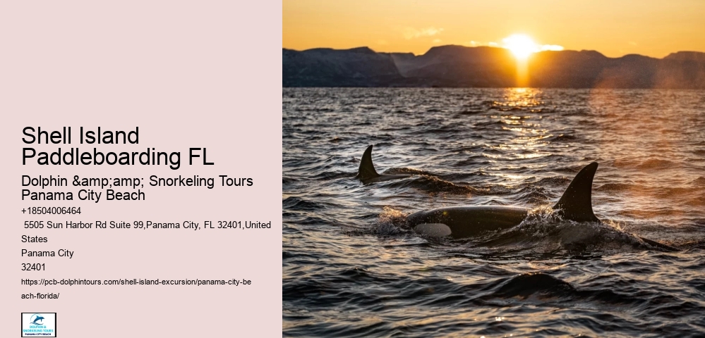  Florida