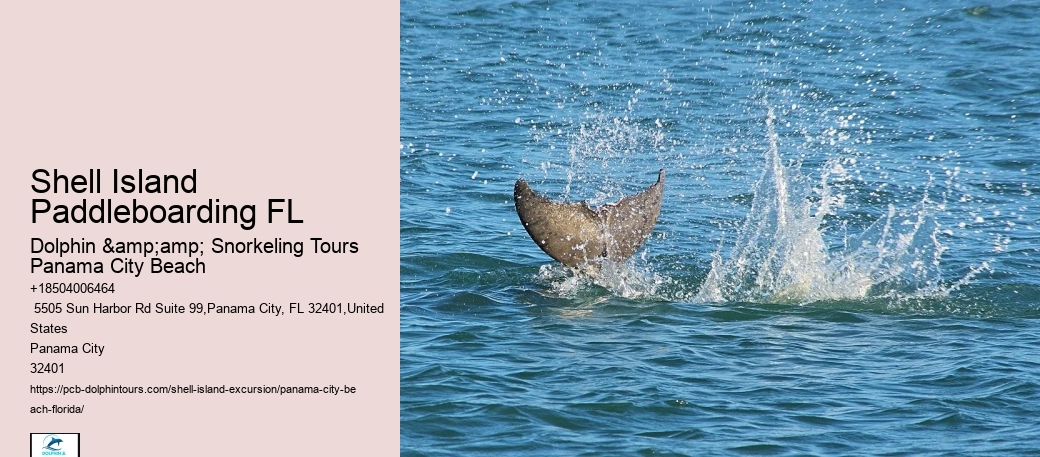  Shell Island Trips & Dolphin Tours