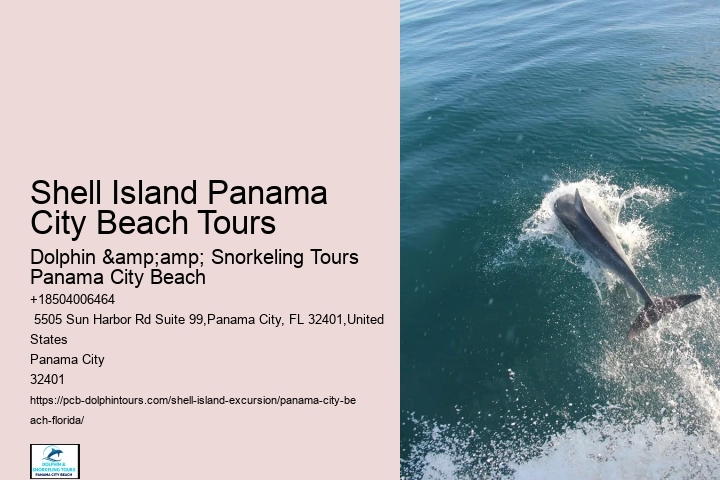  Shell Island Shoreline Exploration FL