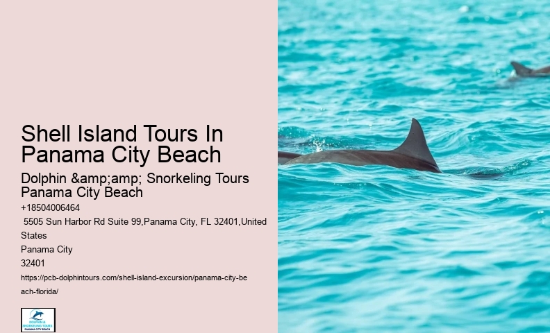  Shell Island Day Trips Florida