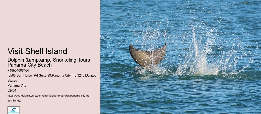  Excursions to Shell Island Panama City