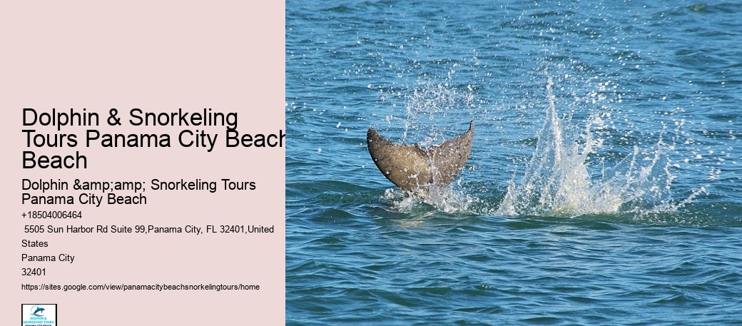 Panama City Beach Snorkel Exploration Trips