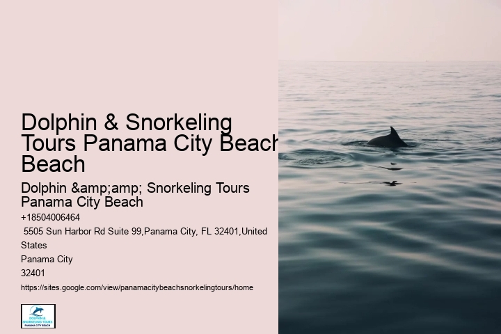 Panama City Beach Snorkeling Tour One Day