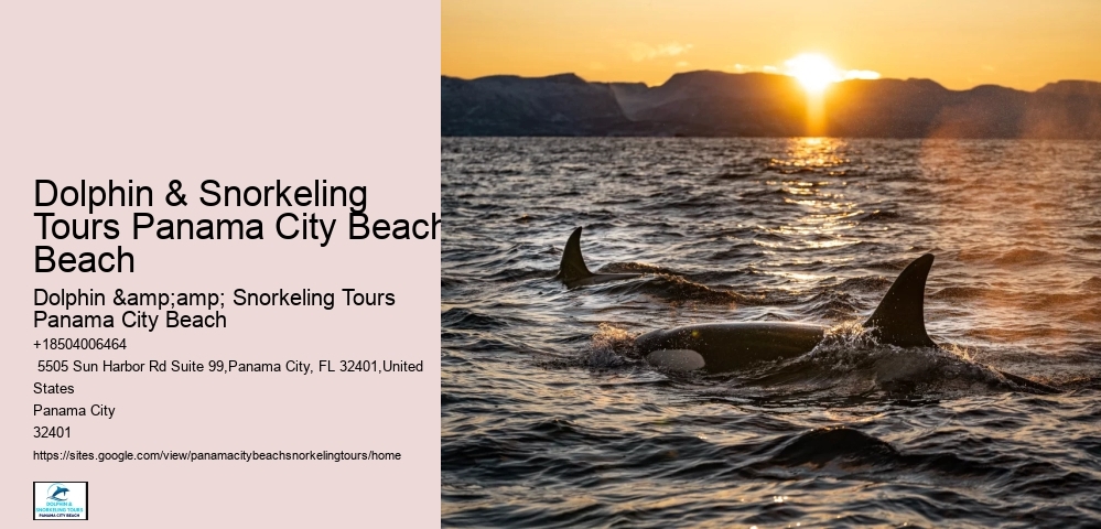 Panama City Beach Snorkeling Tours Andrews Bay