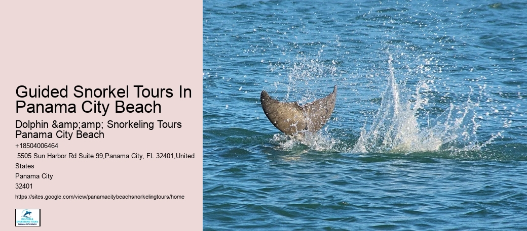 Panama City Beach Snorkel Boat Trips
