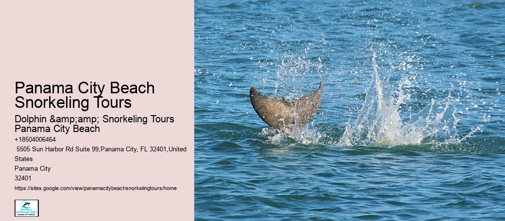 Panama City Beach Snorkeling Tours Molokini