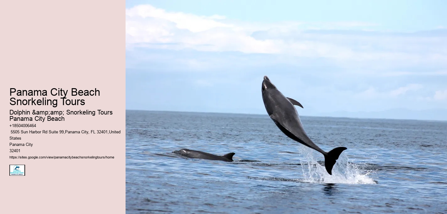 Panama City Beach Snorkeling Tours