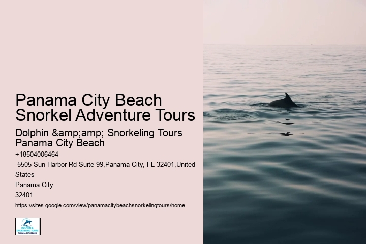 Panama City Beach Snorkeling Tours Kohler