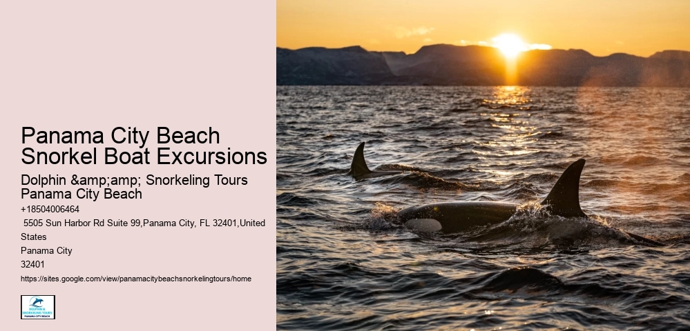Panama City Beach Snorkel Discovery Tours