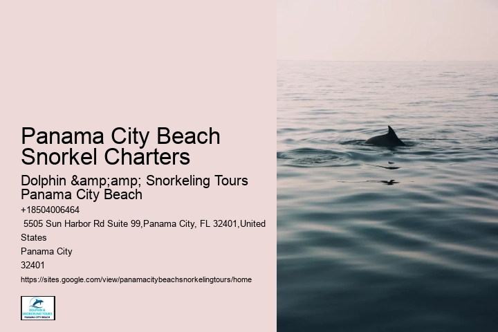 Panama City Beach Snorkeling Tours The Island