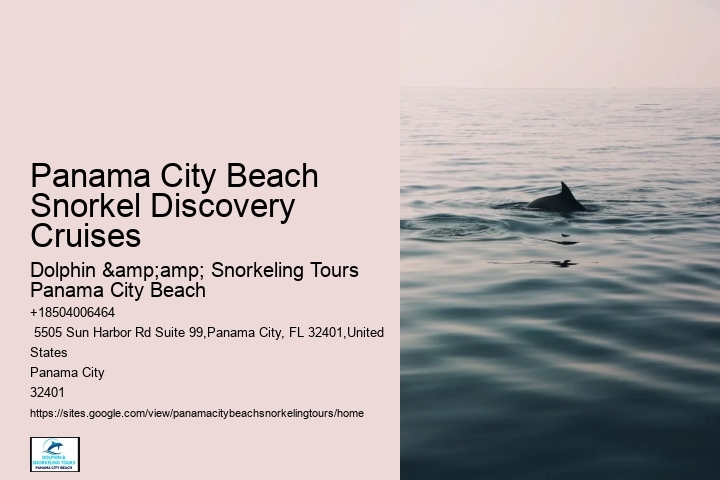 Panama City Beach Snorkeling Tours Trailers For Sale