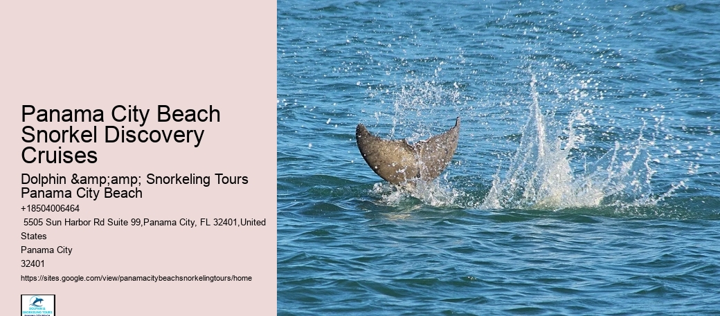 Panama City Beach Snorkeling Tour Warped