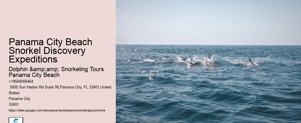 Tour Company