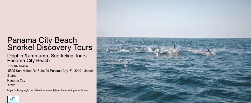 Pcb Snorkel Exploration Experiences