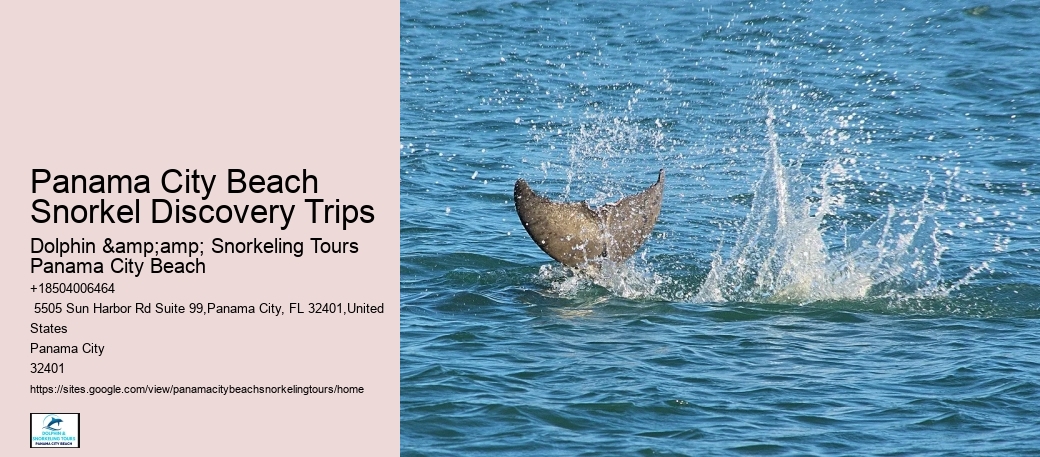 Snorkeling Tours In Panama City Beach