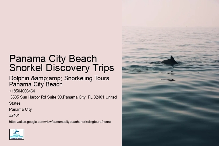 Panama City Beach Snorkeling Tours Ut
