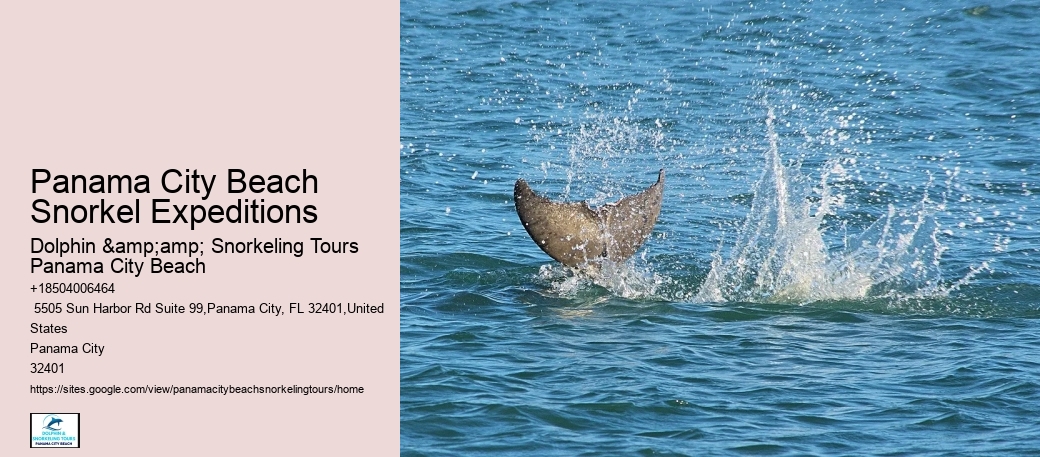 Are There Any Night Snorkeling Tours Available In Panama City Beach