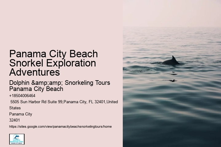 Panama City Beach Snorkel Boat Voyages