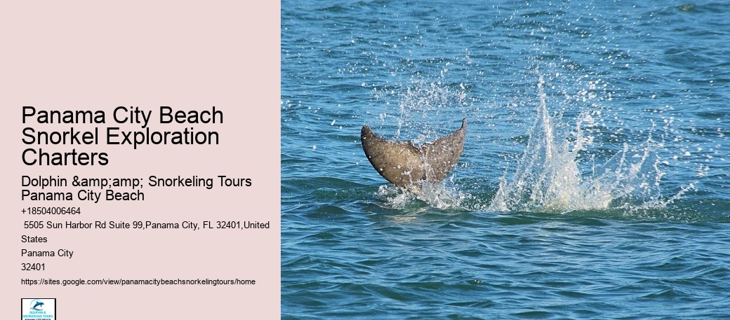 Panama City Beach Snorkeling Tours Vacations