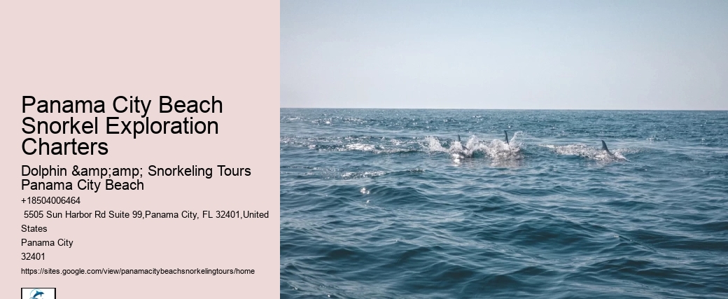 Snorkeling Trips Departing From Panama City Beach