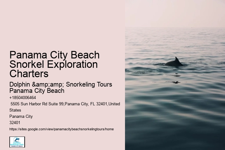 Panama City Beach Snorkeling Tours Rental