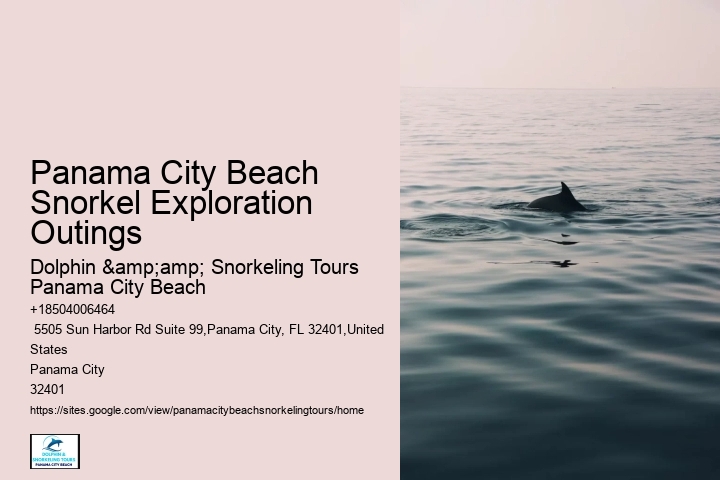 Snorkeling And Diving In Panama City Beach