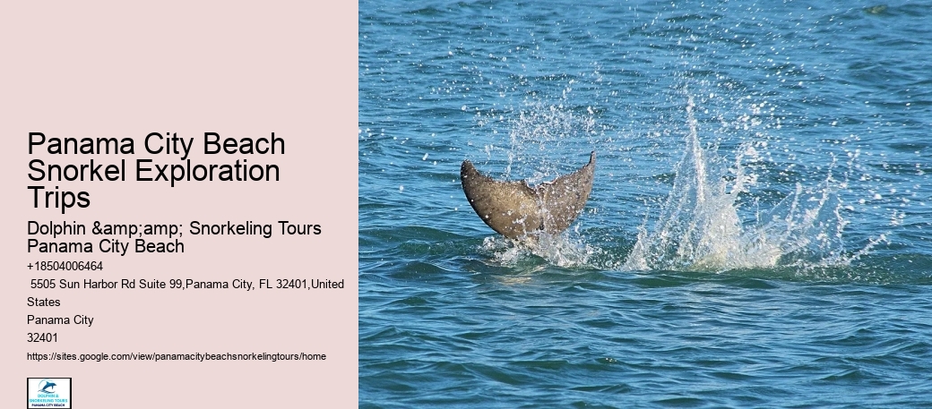 Snorkeling Experiences Around Panama City Beach