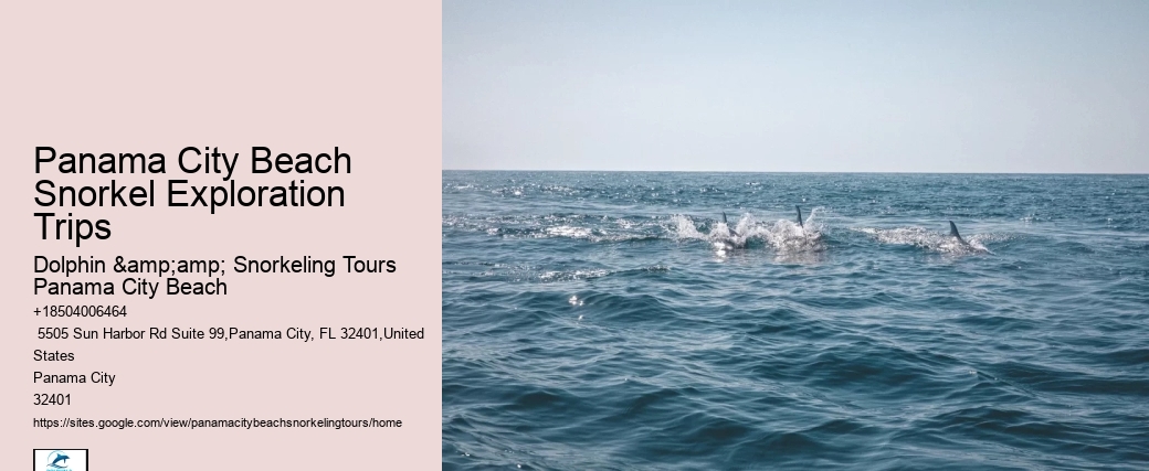 Panama City Beach Snorkel Discovery Expeditions