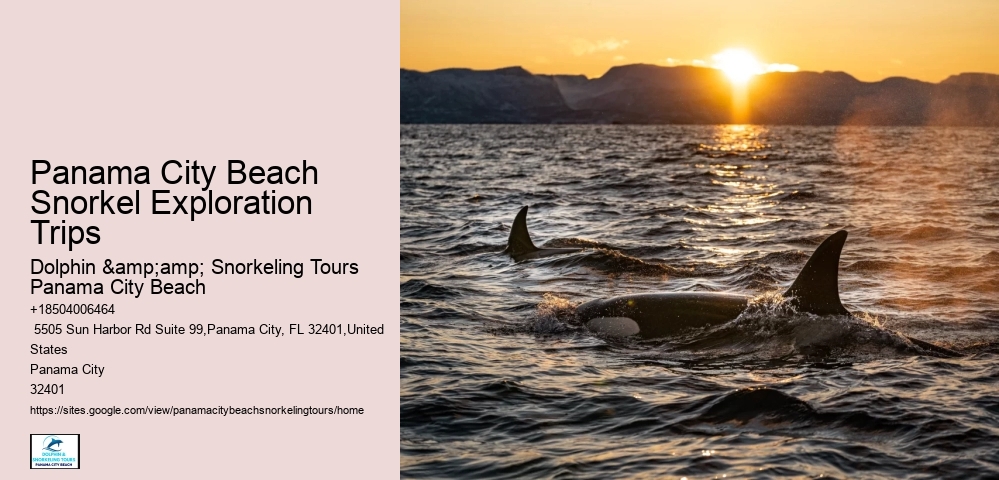 Panama City Beach Snorkel Exploration Charters