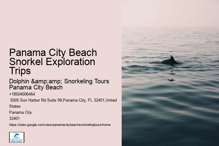 Best Snorkeling Panama City Beach