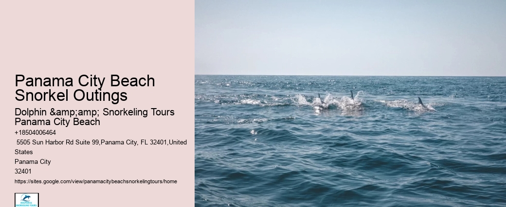 Panama City Beach Snorkeling Tours Maine