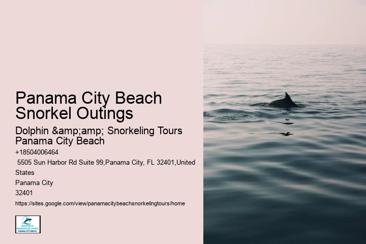 Can You Take Seashells On A Plane From Florida