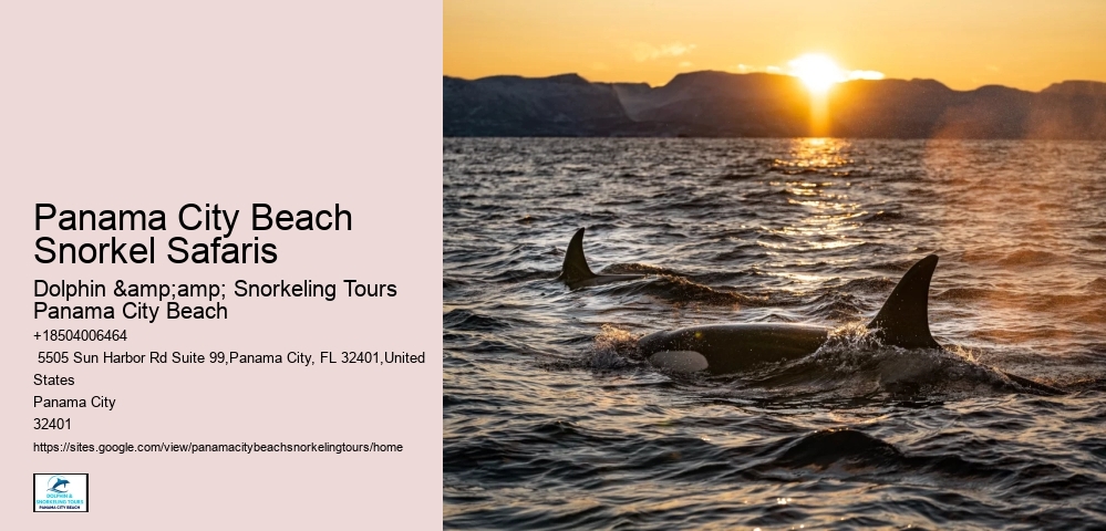 Panama City Beach Snorkeling Tours Mountains