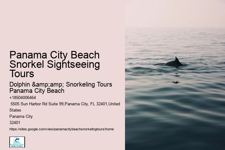 Snorkeling Panama City Beach Florida