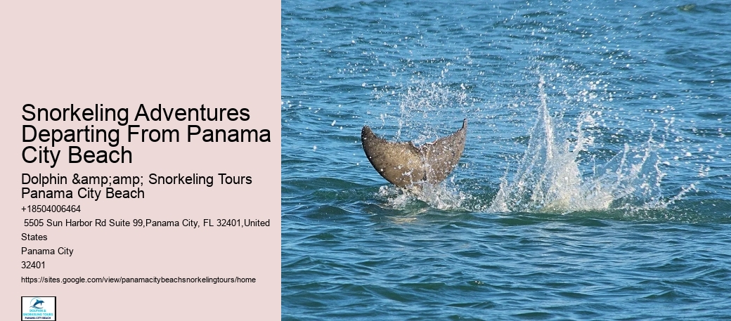 Panama City Beach Snorkel Boat Outings