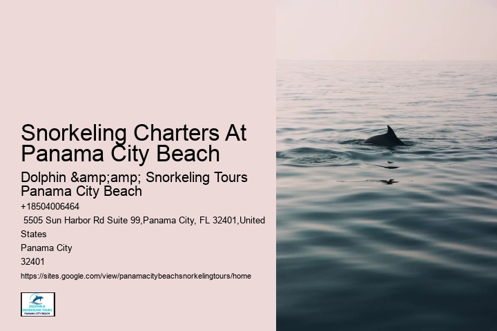 Panama City Beach Snorkeling Tours Dana Point Ca