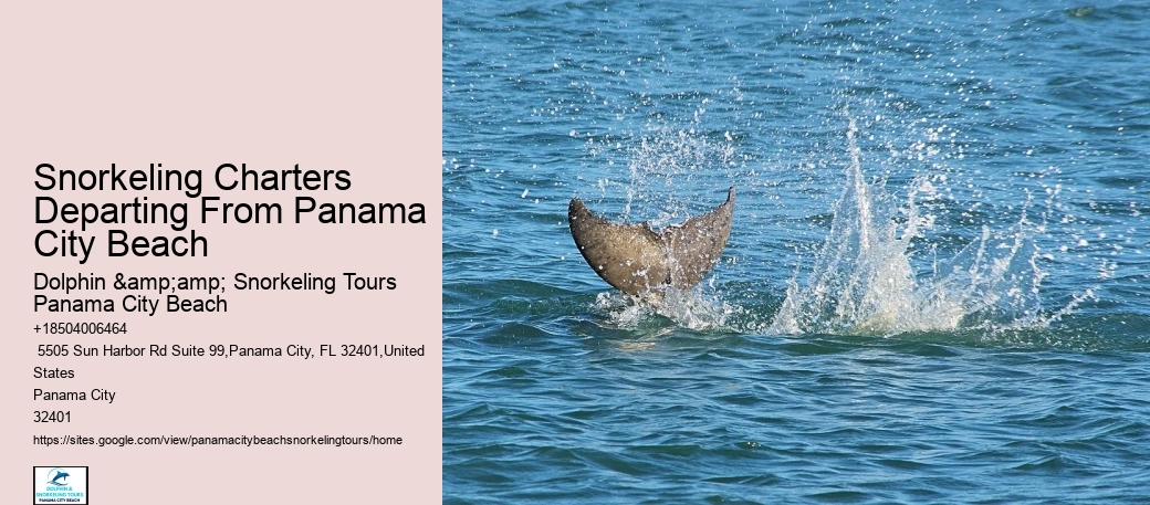 Snorkeling Escapades Departing From Panama City Beach