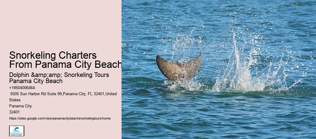 Panama City Beach Snorkel Discovery Expeditions