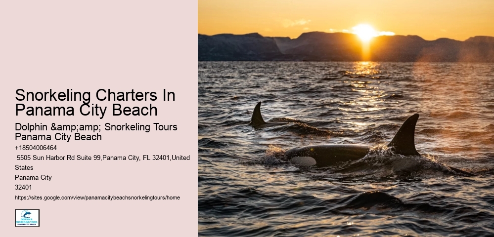 Panama City Beach Underwater Tours