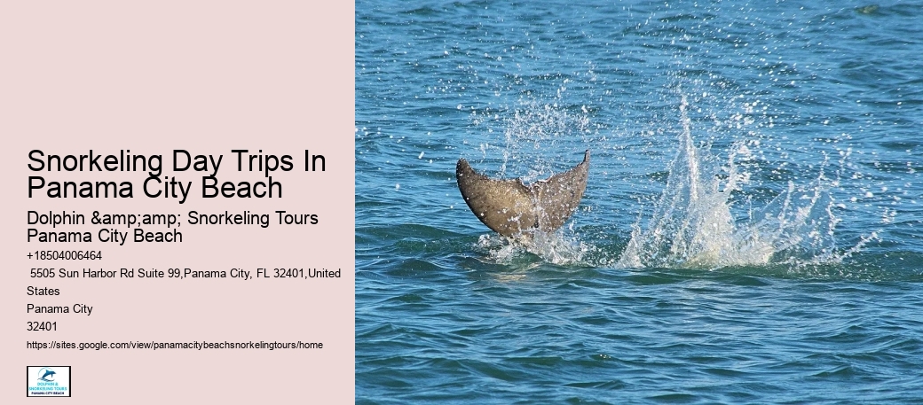 Panama City Beach Snorkeling Tours Oahu