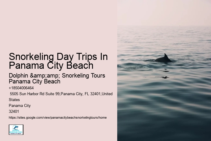 Why Is The Water Not Clear In Panama City Beach Beach