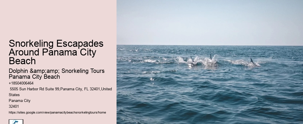 Panama City Beach Snorkeling Tours Utility