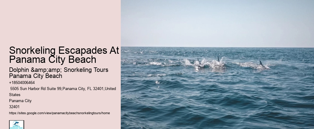 Are There Opportunities For Snorkeling With Manatees During The Tour
