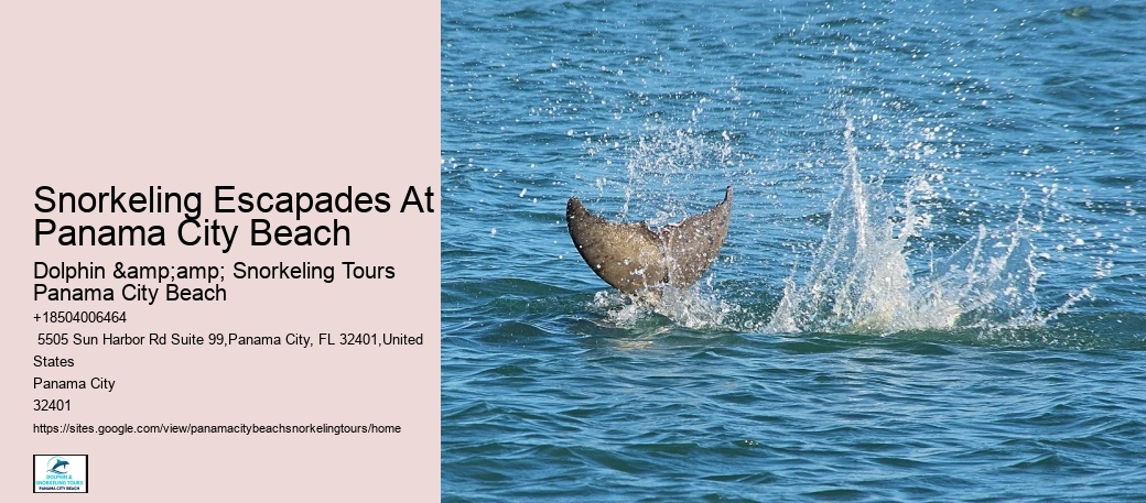 Panama City Beach Snorkel Trips