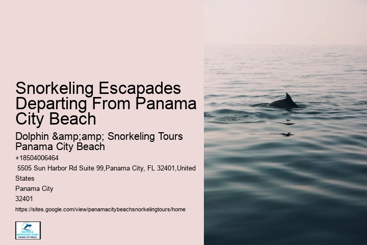 Panama City Beach Snorkeling Tours 40