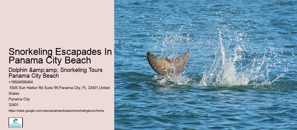 Snorkeling Escapades Departing From Panama City Beach