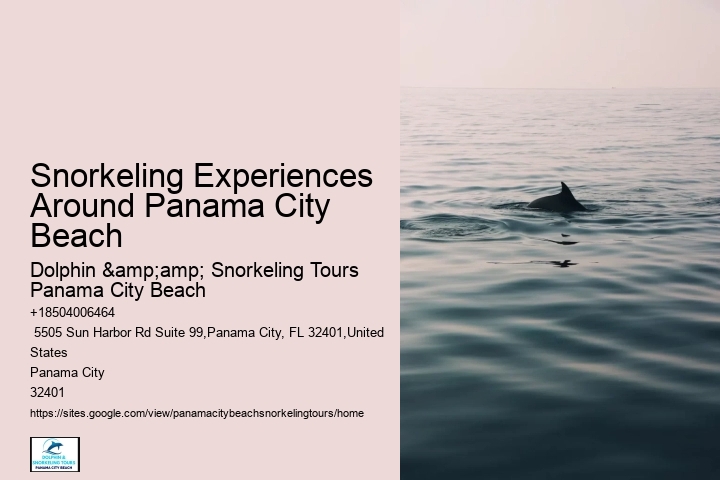 Can Non-swimmers Join Snorkeling Tours In Panama City Beach